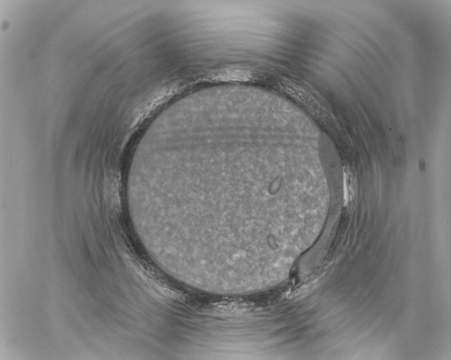 X0000059840300200511181520