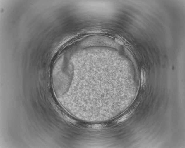 X0000059840301200511181520