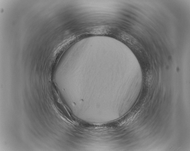 X0000059840303200511181520