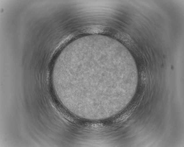 X0000059840304200511181520