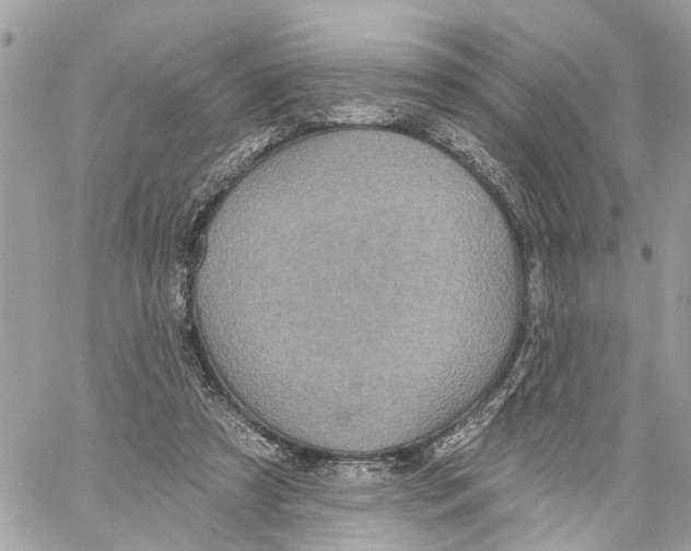 X0000059840305200511181520