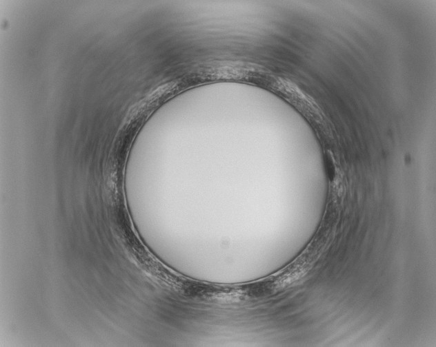 X0000059840306200511181520