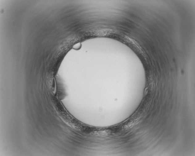 X0000059840307200511181520