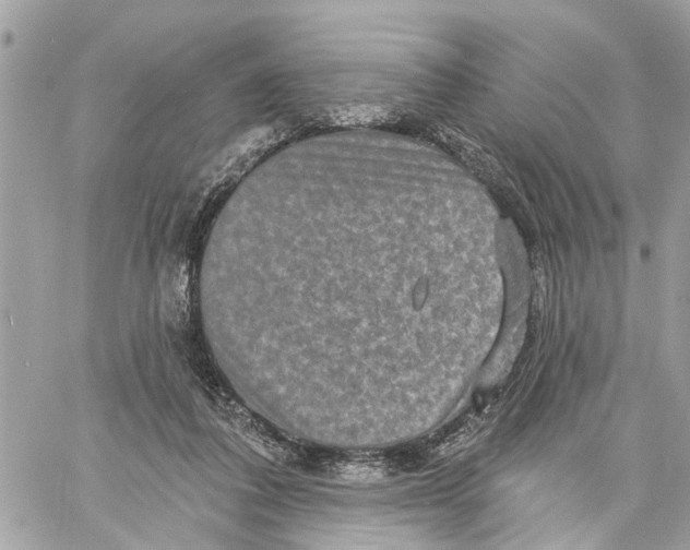 X0000059840308200511181520