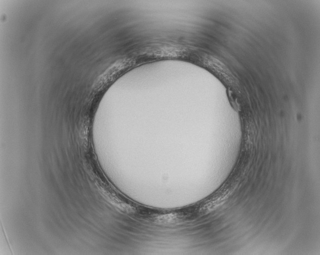 X0000059840309200511181520