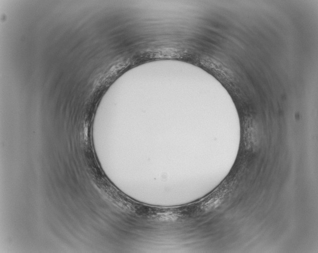 X0000059840310200511181520