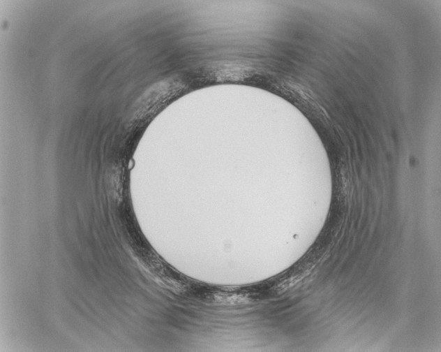 X0000059840311200511181520