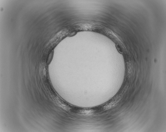 X0000059840313200511181520