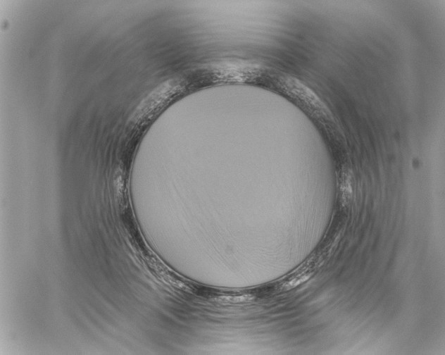 X0000059840314200511181519