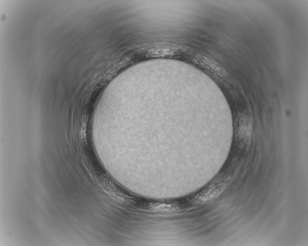 X0000059840315200511181519