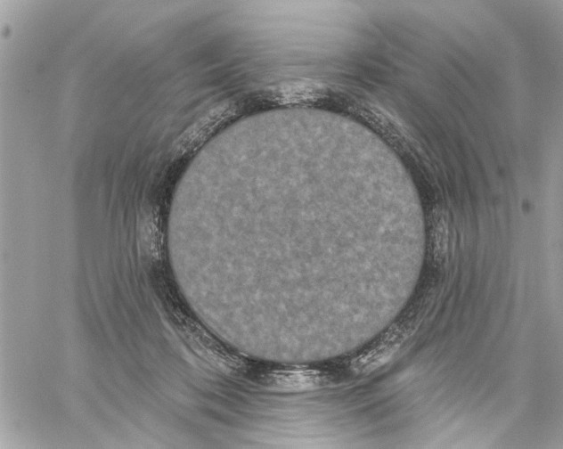 X0000059840316200511181519