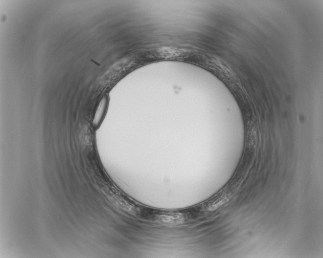 X0000059840317200511181519