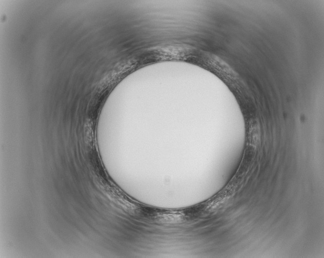 X0000059840318200511181519