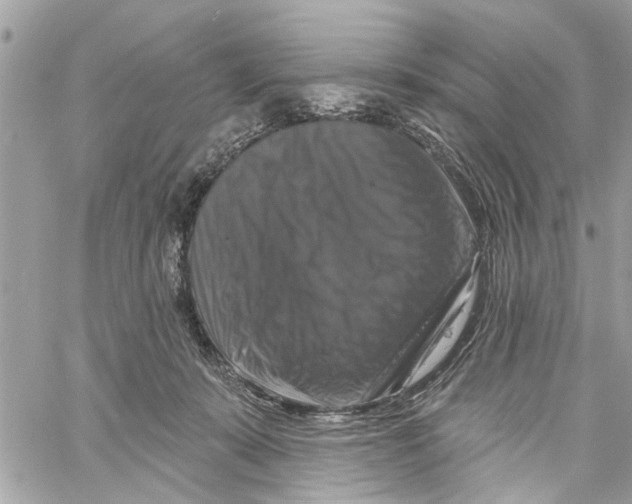 X0000059840319200511181519