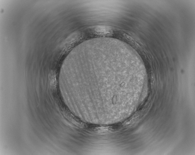 X0000059840320200511181519