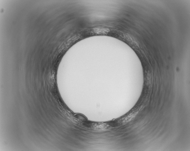 X0000059840321200511181519