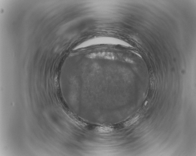 X0000059840327200511181519