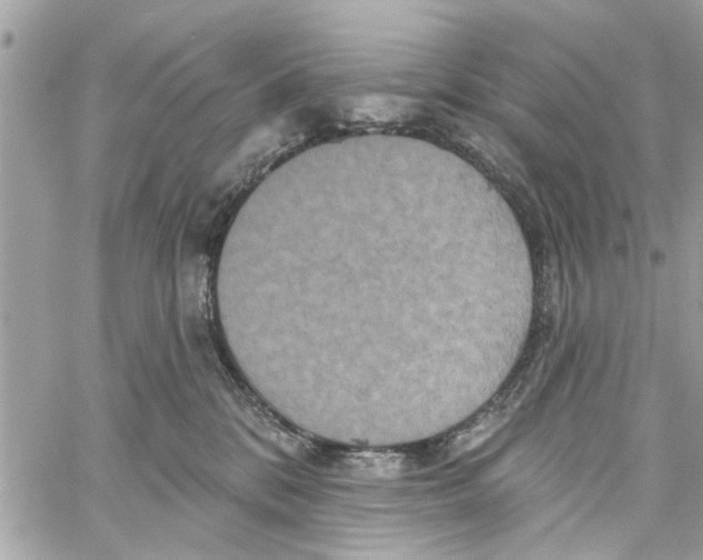 X0000059840328200511181519