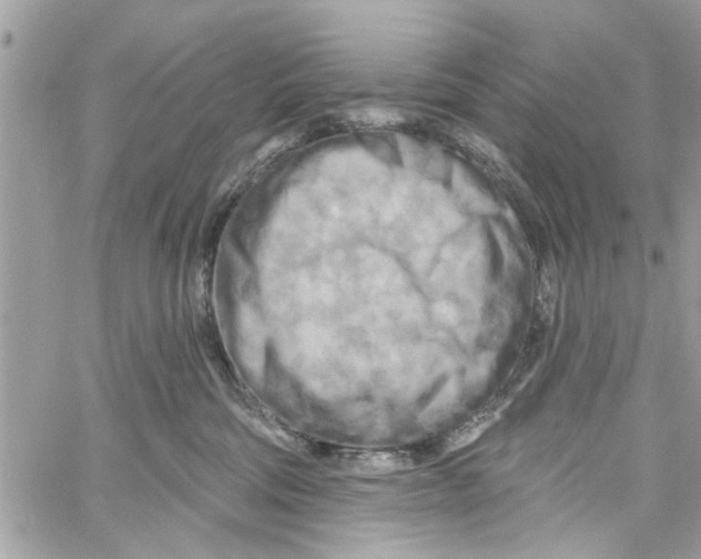 X0000059840330200511181519