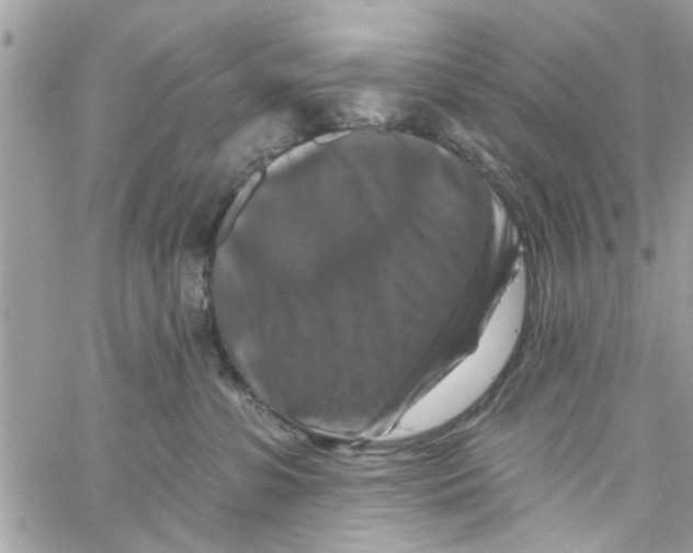 X0000059840331200511181519