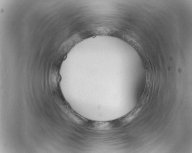 X0000059840334200511181519