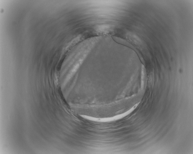 X0000059840335200511181519