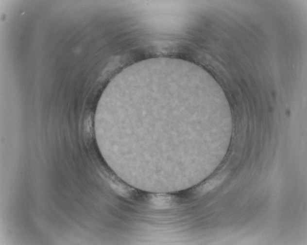 X0000059840336200511181519