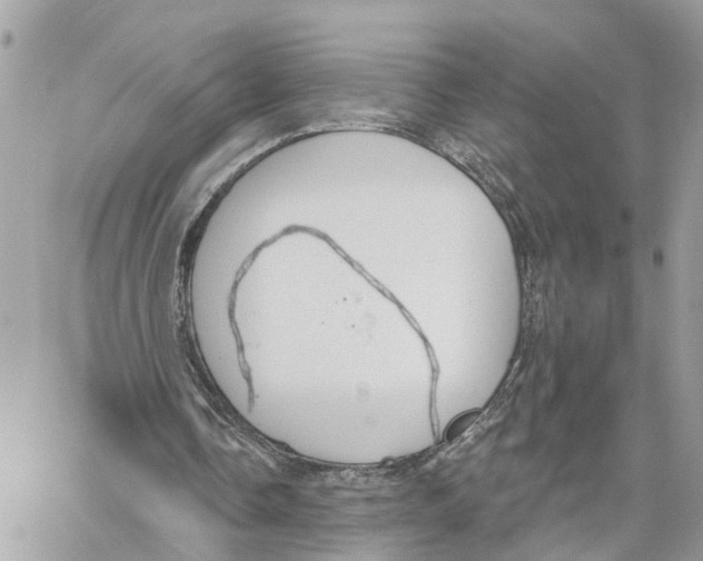 X0000059840338200511181518