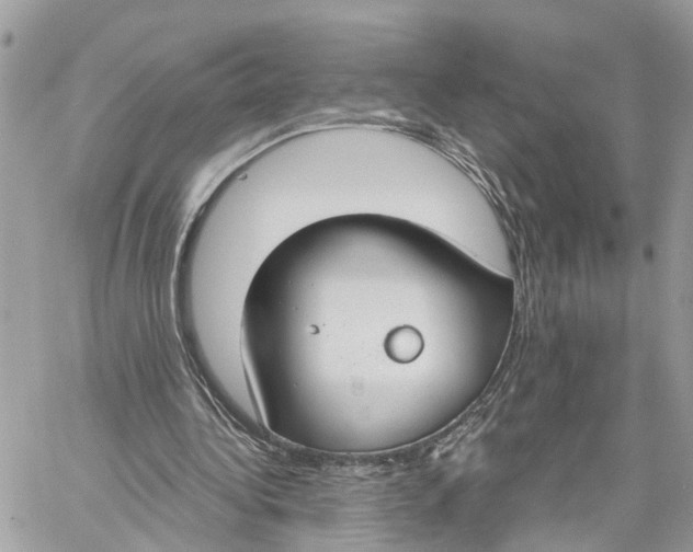 X0000059840340200511181518