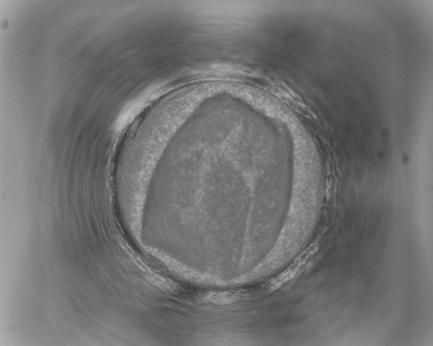 X0000059840341200511181518