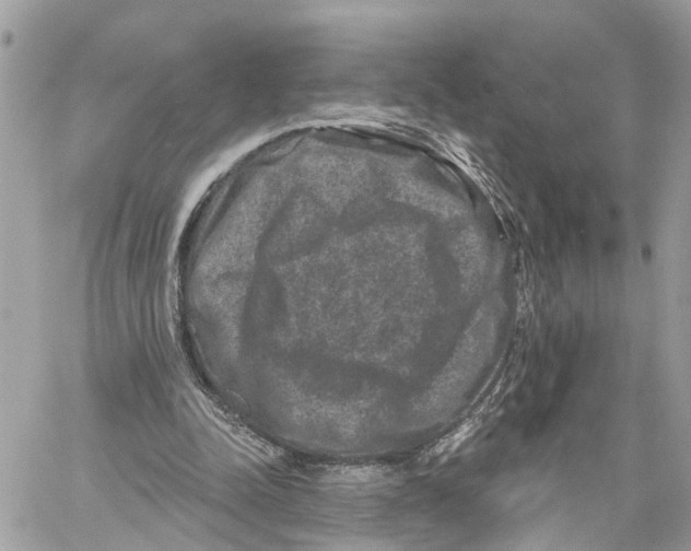 X0000059840342200511181518