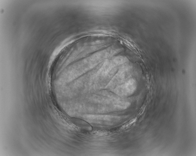 X0000059840343200511181518