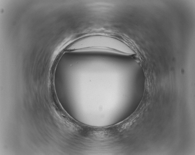 X0000059840344200511181518