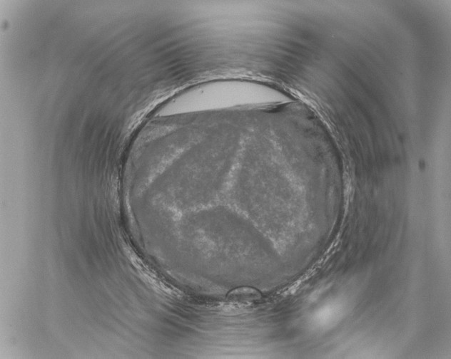 X0000059840345200511181518