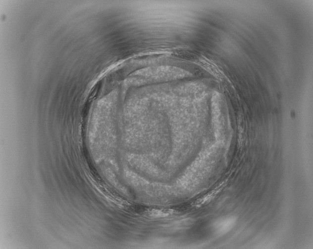 X0000059840346200511181518