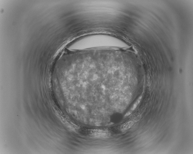 X0000059840347200511181519