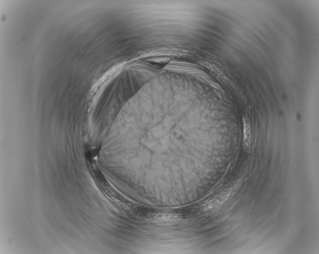 X0000059840348200511181519