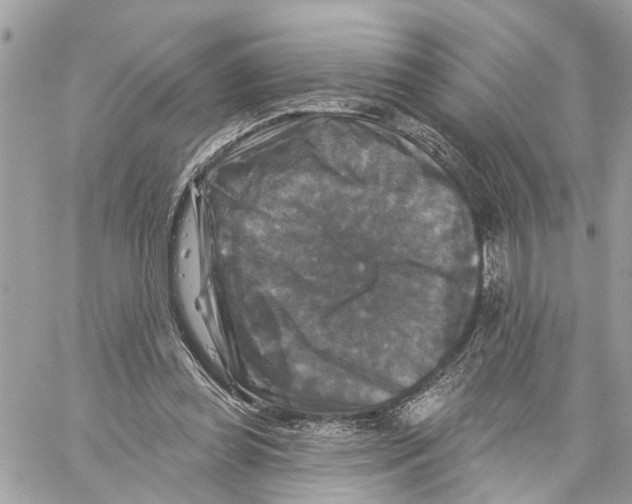 X0000059840349200511181519