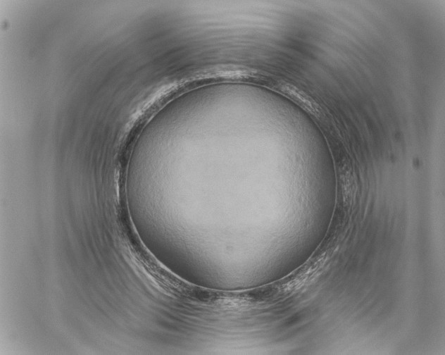 X0000059840350200511181519