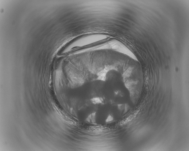 X0000059840351200511181519