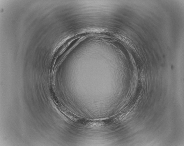 X0000059840352200511181519