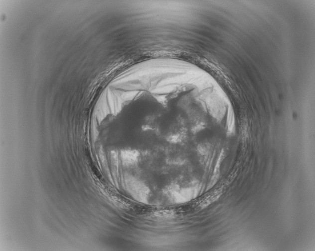 X0000059840353200511181519