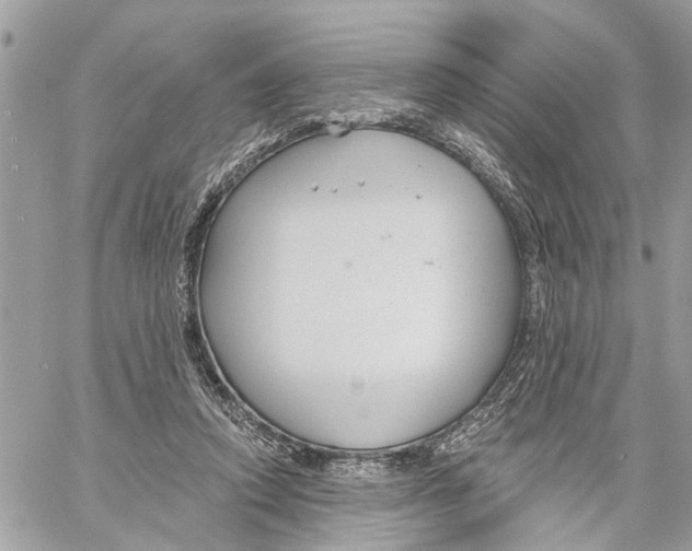 X0000059840354200511181519