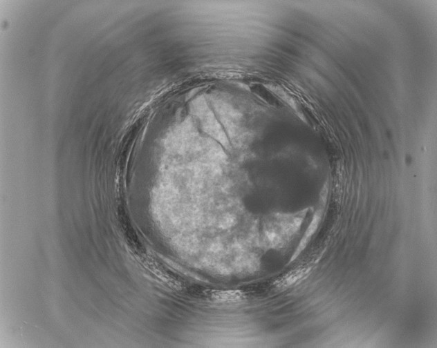 X0000059840355200511181519