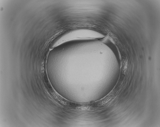 X0000059840356200511181519