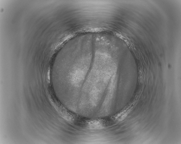 X0000059840358200511181519