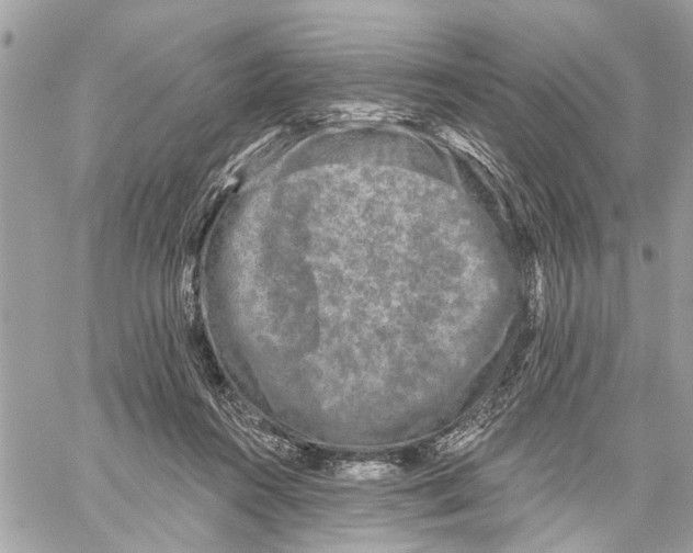 X0000059840360200511181519