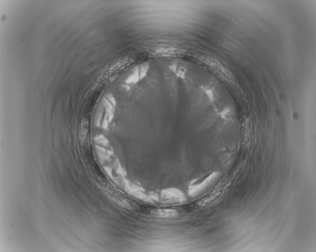 X0000059840361200511181519