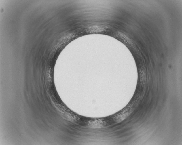 X0000059840362200511181519