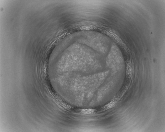 X0000059840363200511181519